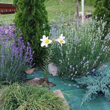 펜션 Pod Lasem Gorce Z Kominkiem I Jacuzzi *
